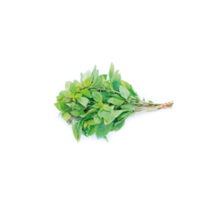 ALBAHACA