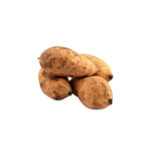 CAMOTE AMARILLO JHONATHAN