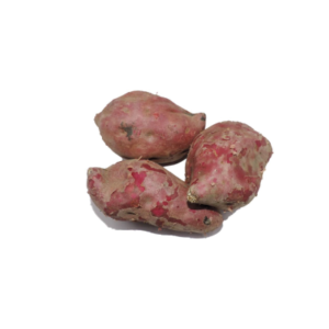 CAMOTE MORADO