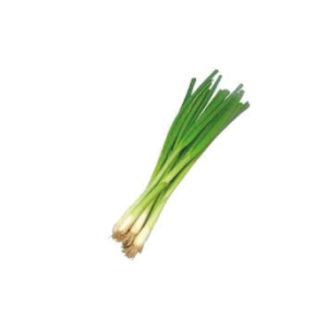 CEBOLLA CHINA