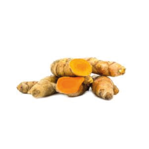 CURCUMA