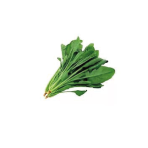 ESPINACA