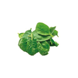 ESPINACA BB