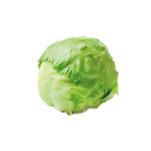 LECHUGA AMERICANA
