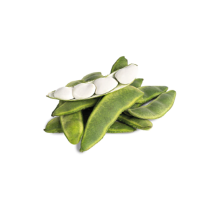 PALLAR VERDE