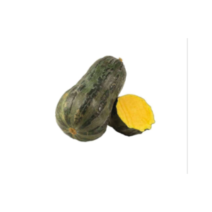 ZAPALLO LOCHE