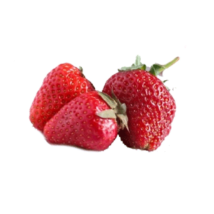 FRESA