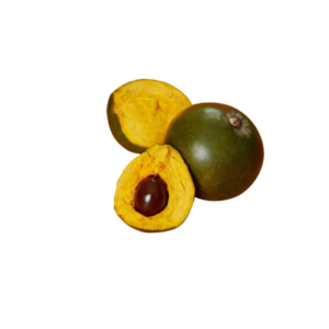 LUCUMA