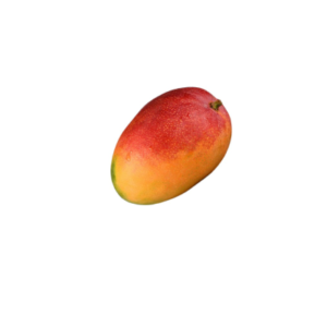 MANGO-KENT