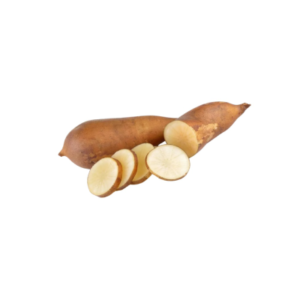 YACON