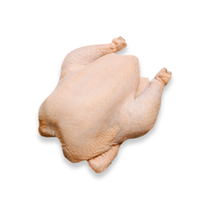 POLLO ENTERO FRESCO CON PIEL Y MENUDENCIA